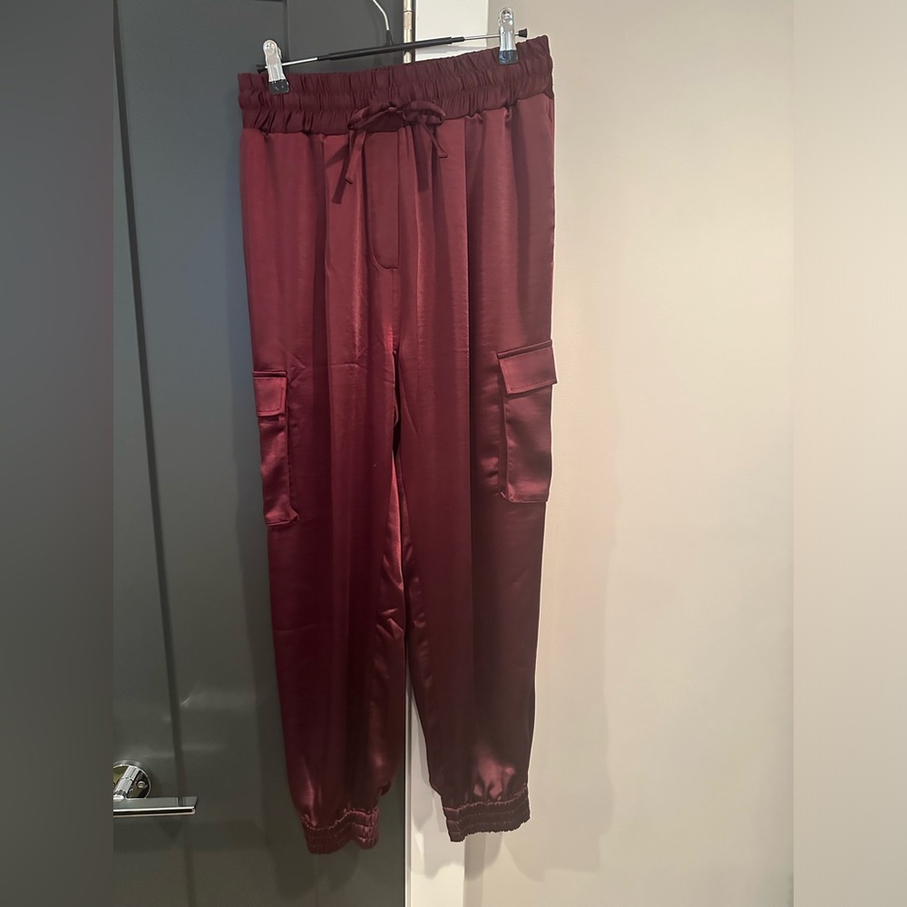Marion satin dress cargo style pants.  Joe’s size M